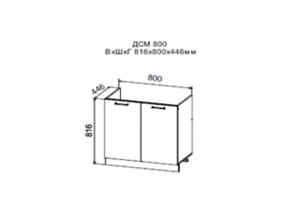Шкаф нижний ДСМ800 под мойку в Тавде - tavda.магазин96.com | фото