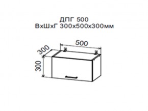 Шкаф верхний ДПГ500 горизонтальный в Тавде - tavda.магазин96.com | фото
