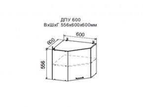 Шкаф верхний ДПУ600 угловой в Тавде - tavda.магазин96.com | фото